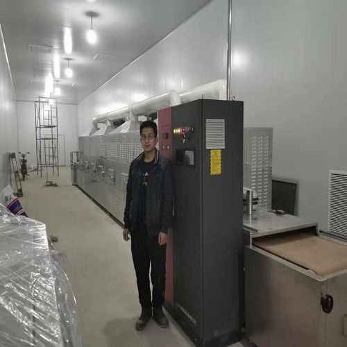 亚麻籽微波熟化杀菌设备 时间短、烘烤均匀的环保科技新突破